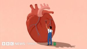Kalp krizinden korunmak için nasıl yaşamak gerekiyor? - BBC News Türkçe
