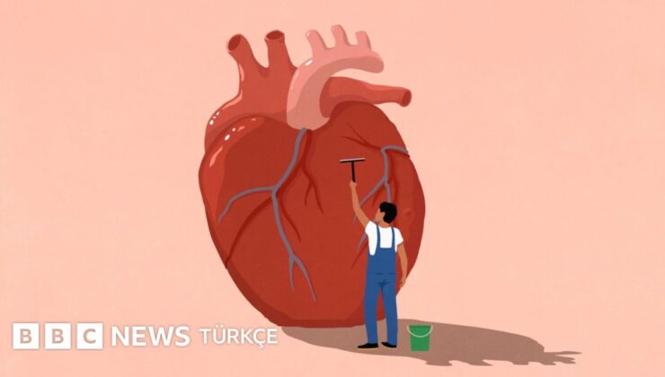 Kalp krizinden korunmak için nasıl yaşamak gerekiyor? – BBC News Türkçe