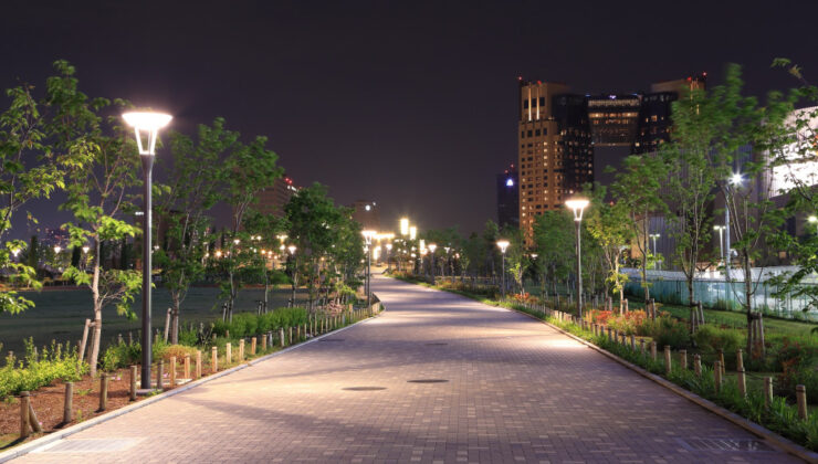 Sokak lambaları bitkileri geceleri uyanık mı tutuyor?