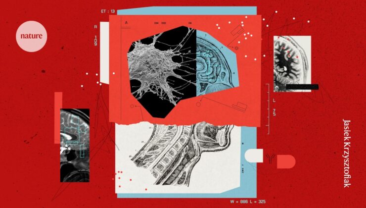 Beyin ilaçları artık bir zamanlar aşılmaz kan -beyin bariyerini geçebilir