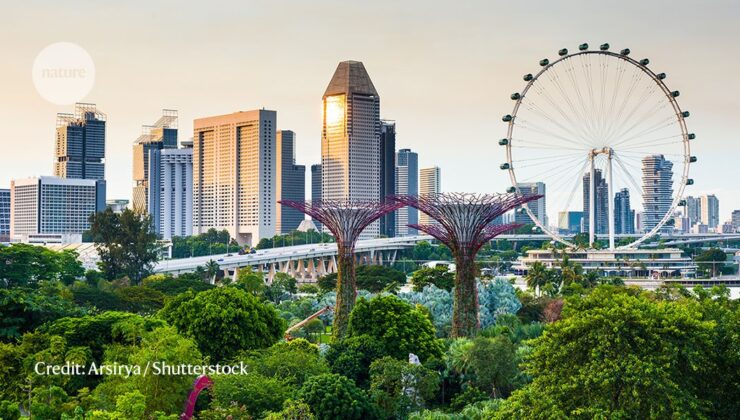 Singapur’un yeşil alanlarını gelişimden kurtarmak için mücadelesi