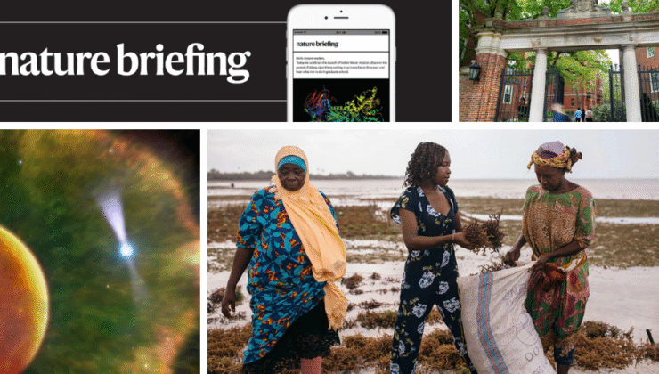 Günlük brifing: Harvard’ın yaklaşık 1.000 araştırma hibesi iptal etti