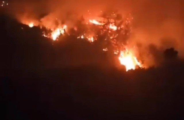 Hatay’da ormanlık alanda yangın çıktı