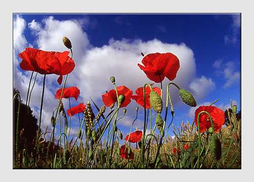 Peyzaj fotoğrafçılığı öğrenin – Better Landscape Photography (Bölüm 2).