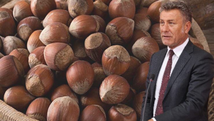 CHP’li Sarıbal: TMO, fındıkta açıkladığı 190-200 TL’lik alım fiyatıyla üreticiye zararına satış dayatıyor