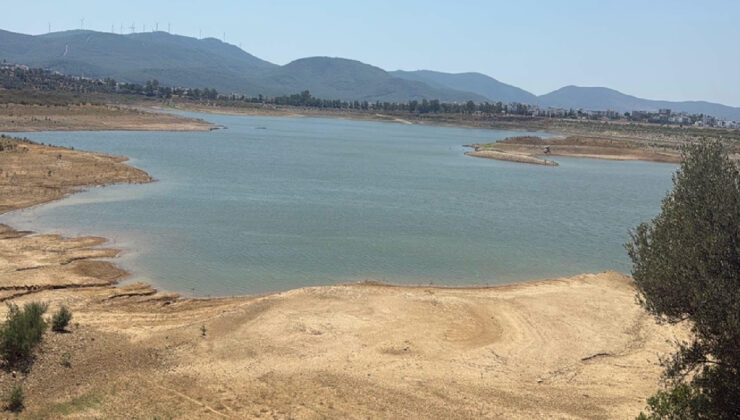 Diyarbakır’da büyük ihmal: Yüzlerce kişiye kuduz aşısı