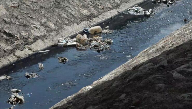 İstanbul’da derenin rengi atıklar nedeniyle değişti: “Su içip, ölen hayvanlar var”