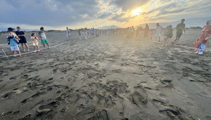 Hatay’da koruma çalışmalarıyla deniz kaplumbağalarının yuva sayısı artıyor