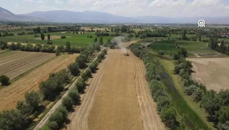 2 yıl ekilmeyen tarım arazisi kiraya