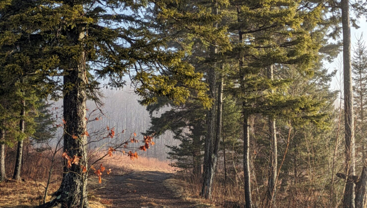 Bir Plein Hava Boyama Sitesi Seçimi
