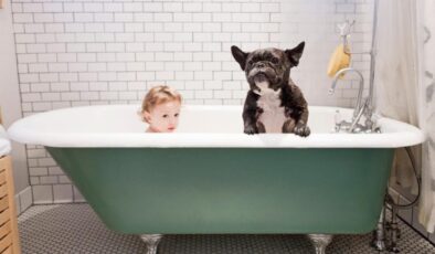 Köpekler: Sadece aşırı yükten daha fazlası