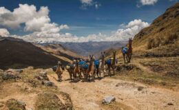 Yürüyüşçüler için bu dünyanın en iyi korunan İnka yollarından biridir. Ve hayır, Machu Picchu’nun İnka Trail’i değil