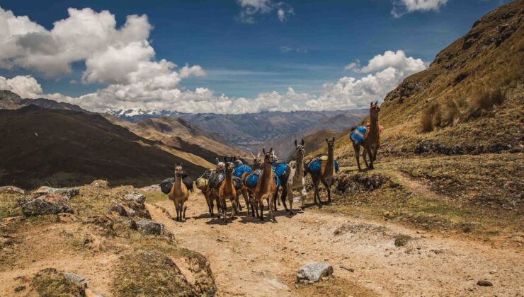 Yürüyüşçüler için bu dünyanın en iyi korunan İnka yollarından biridir. Ve hayır, Machu Picchu’nun İnka Trail’i değil