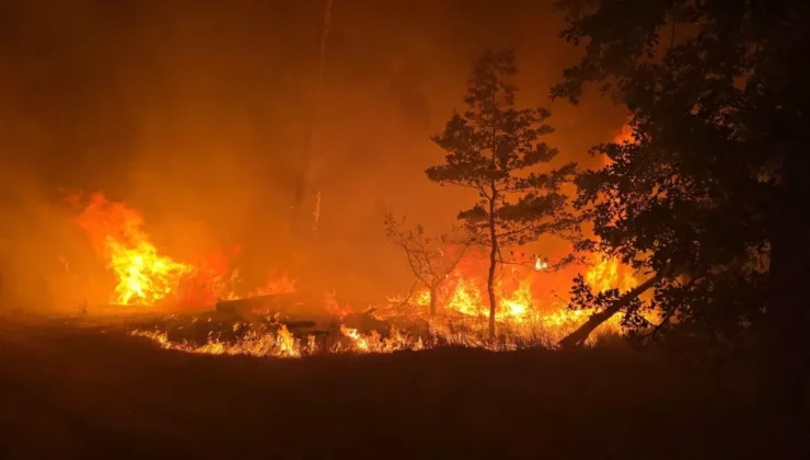 Almanya’da Orman Yangınlarıyla Mücadele Sürüyor