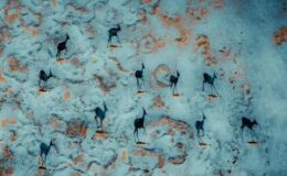 30 Macera Ruhunu Çeken 30 Ödüllü Drone Fotoğrafları – 121Clicks.com