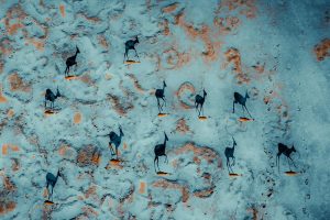 30 Macera Ruhunu Çeken 30 Ödüllü Drone Fotoğrafları – 121Clicks.com