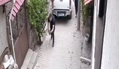 Mudurnu’da Sokak Köpekleri Uyuşturucu İğne ile Bayıltıldı