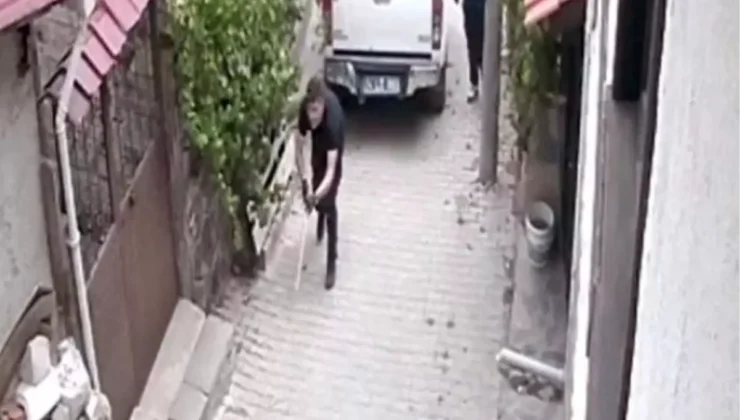 Mudurnu’da Sokak Köpekleri Uyuşturucu İğne ile Bayıltıldı