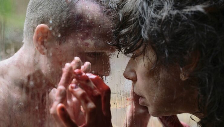 Ev Eğlence Kılavuzu: “Onu Geri Getir”, “Fenike Şeması”, “Vermiglio”, More