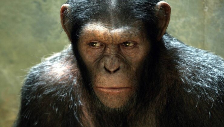 Maymunlar Gezegeni: Jurassic Park franchise olmasını diliyor