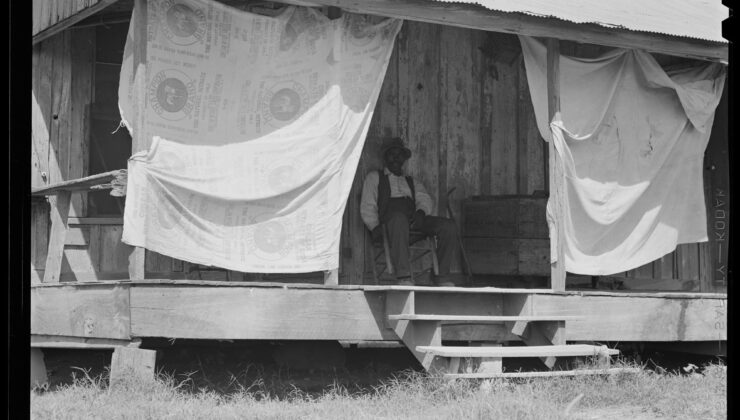 Büyük Buhran sırasında güneydeki siyah deneyime ışık tutuyor