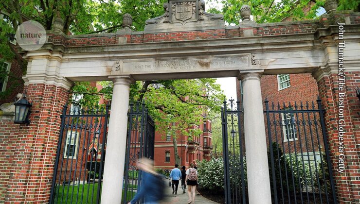 Trump ekibi yaklaşık 1.000 hibeyi keserken Harvard araştırmacıları harap oldu