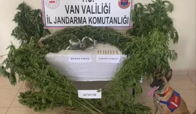 Van’da Uyuşturucu Operasyonu: Kenevirler Ele Geçirildi