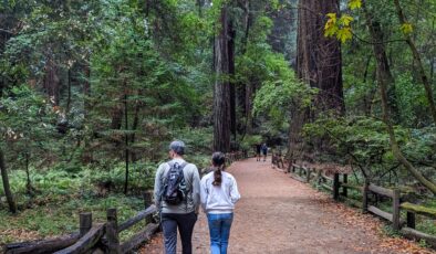 Doğa ve vahşi yaşamın eğlence değeri