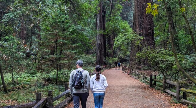 Doğa ve vahşi yaşamın eğlence değeri