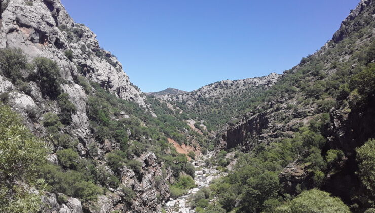Birkleyn Mağaraları