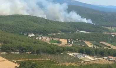 İzmir’deki Orman Yangınına Havadan ve Karadan Müdahele