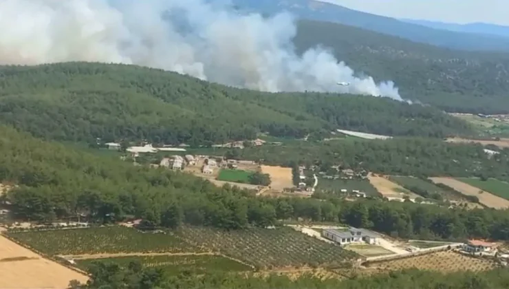 İzmir’deki Orman Yangınına Havadan ve Karadan Müdahele