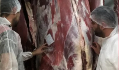 Kırklareli’nde Mezbahalar Hijyen ve Hayvan Refahı Açısından Denetlendi
