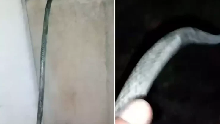 Mezarlıktaki hayır çeşmesinden evine su çekti