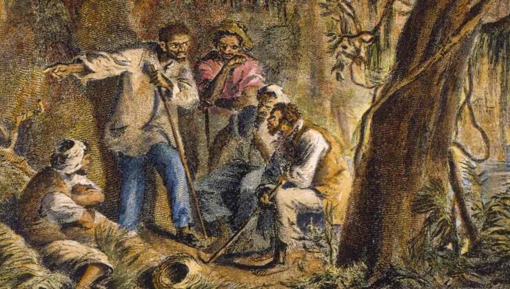Nat Turner, Virginia’da büyük ayaklanma başlattı | 21 Ağustos 1831 | TARİH