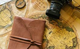 Yol Haritası Şablonu – Hayley Drumwright