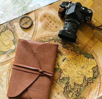 Yol Haritası Şablonu – Hayley Drumwright