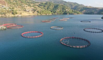 Karadeniz'in su ürünleri ihracatı 9 ayda 322 milyon doları aştı