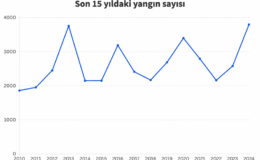 Türkiye’deki ormancılık istatistikleri ne anlatıyor? – Greenpeace Türkiye