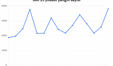 Türkiye’deki ormancılık istatistikleri ne anlatıyor? – Greenpeace Türkiye