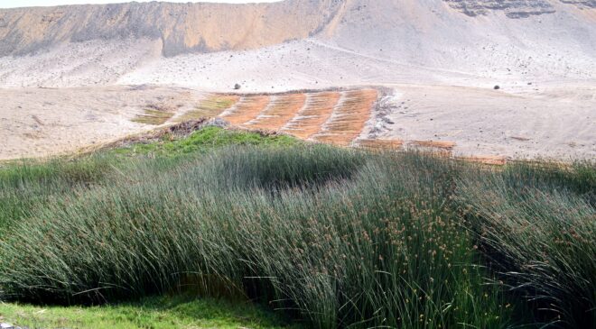 Yönetmen Rezan Yeşilbaş’tan Uçan Köfteci – Aziz Yağan