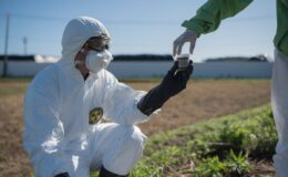 Fukuşima’da radyasyon azalmadı, arttı – Greenpeace Türkiye
