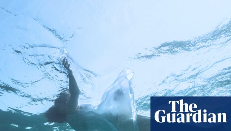 İyi ve Kötü ve Diğer Hikayeler Samanta Schweblin Review – Korkunun Özünü Kabul Etme