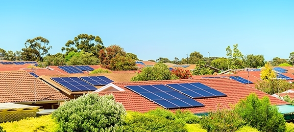 Çatısında Enerji Üretene Esnaflık Mertebesi, Vergi Muafiyeti – Greenpeace Türkiye