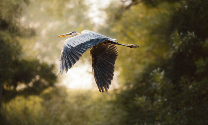 Flyby – Joe Stroud’da fstoppers