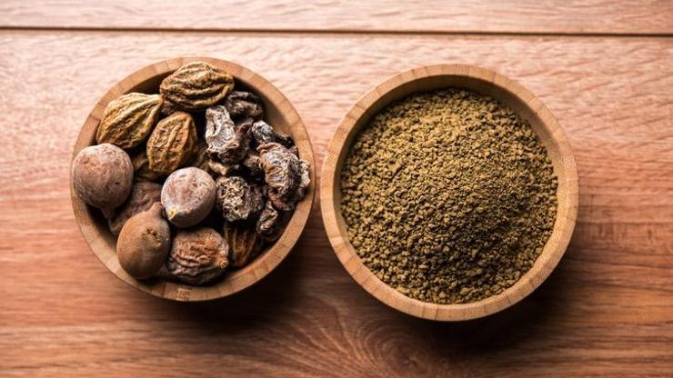 Kara halile bitkisi nedir? Kara Halile bitkisinin faydaları neler? İşte Hint Tıbbında ilaçların krali olarak gösterilen kara halilenin inanılmaz özellikleri…