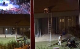 Mersin’de konserde gençleri darbeden güvenlik görevlisi tutuklandı – CNN Türk Güncel Haberler