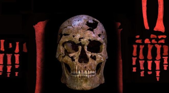 Bir takım değil, halkın gerçeği: Şampiyon Amedspor – Arslan ÖZDEMİR