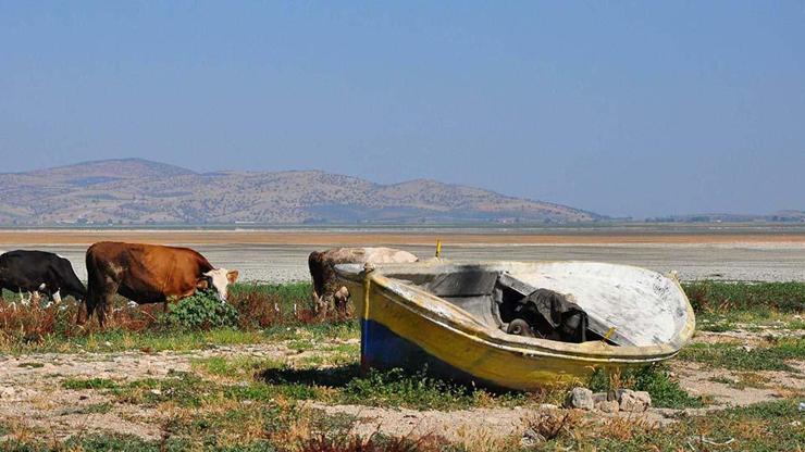 Türkiyenin göl ekosistemi çöküyor: 240’ından 186sı kurudu – Son Dakika Flaş Haberler