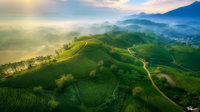 Teas Hill – Phuoc Le Fstoppers